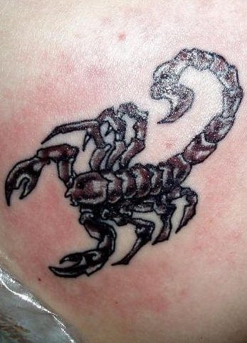 tatuaggio scorpione 1061