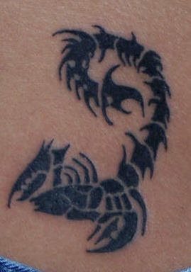 tatuaggio scorpione 1062