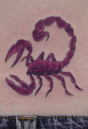 tatuaggio scorpione 1064