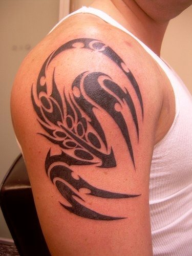 tatuaggio scorpione 1065