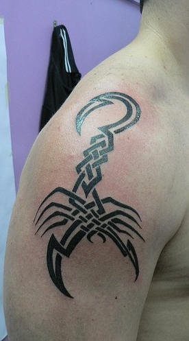 tatuaggio scorpione 1075