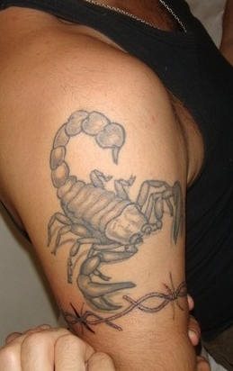 tatuaggio scorpione 1081