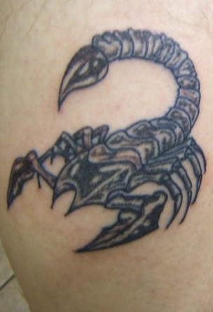 tatuaggio scorpione 1084
