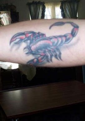 tatuaggio scorpione 1087
