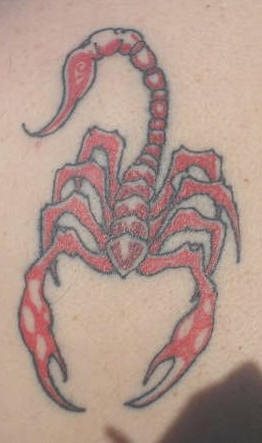 tatuaggio scorpione 1088