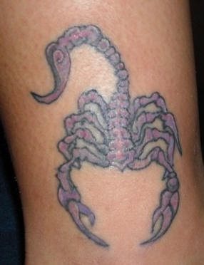 tatuaggio scorpione 1092