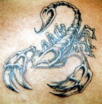 tatuaggio scorpione 1093