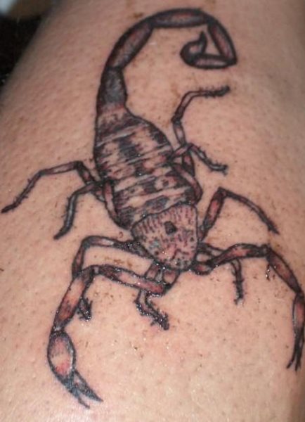 tatuaggio scorpione 1095