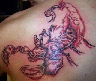 tatuaggio scorpione 1096
