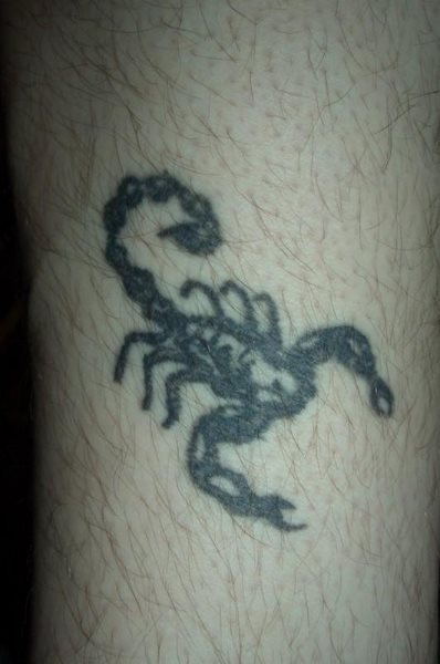 tatuaggio scorpione 1097
