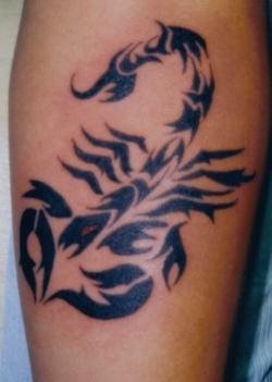 tatuaggio scorpione 1099