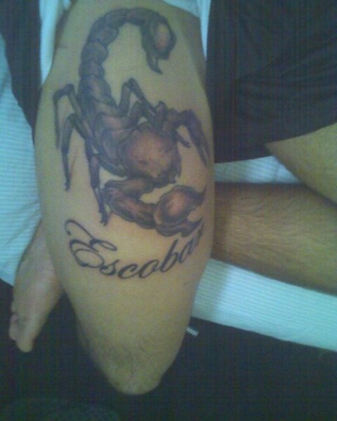 tatuaggio scorpione 1002