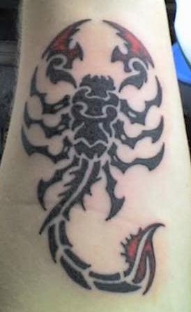 tatuaggio scorpione 1004