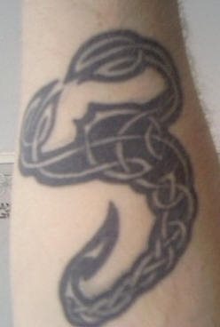 tatuaggio scorpione 1007