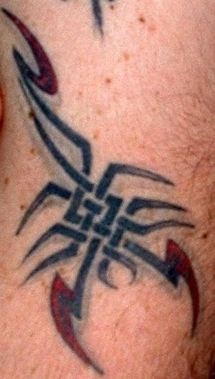 tatuaggio scorpione 1010