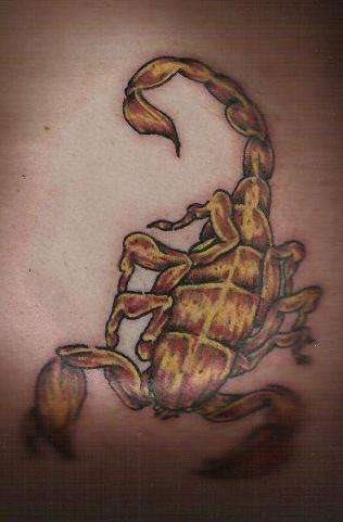 tatuaggio scorpione 1014