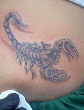 tatuaggio scorpione 1016