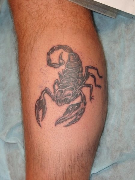 tatuaggio scorpione 1018