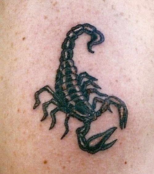 tatuaggio scorpione 1029