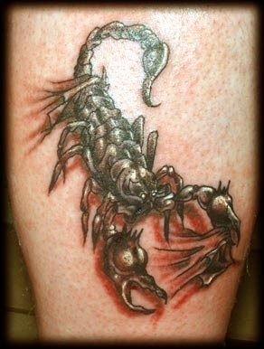tatuaggio scorpione 1031