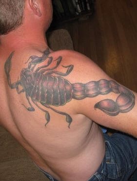 tatuaggio scorpione 1032