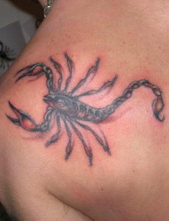 tatuaggio scorpione 1036