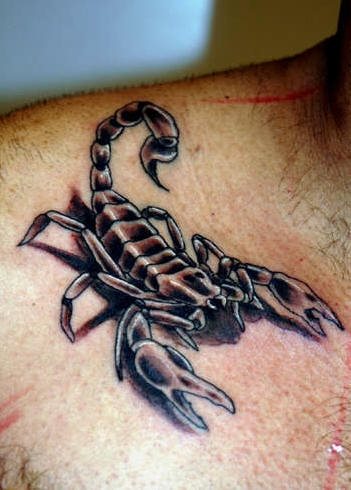tatuaggio scorpione 1038