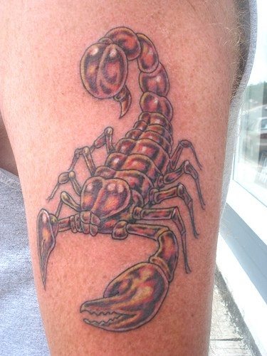 tatuaggio scorpione 1044