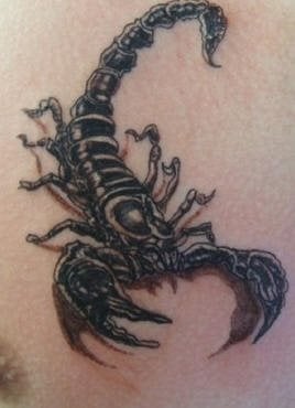 tatuaggio scorpione 1048
