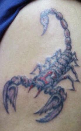 tatuaggio scorpione 1058