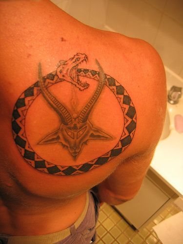 tatuaggio serpente 1051