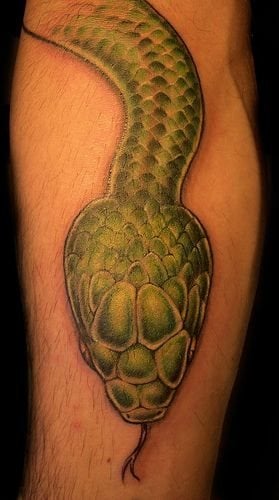 tatuaggio serpente 1052