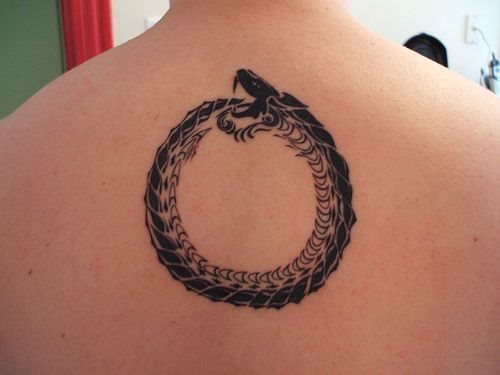 tatuaggio serpente 1066
