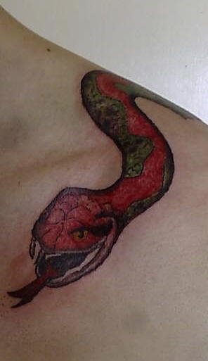 tatuaggio serpente 1084