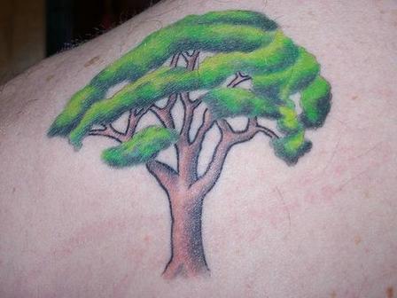tatuaggio albero 50