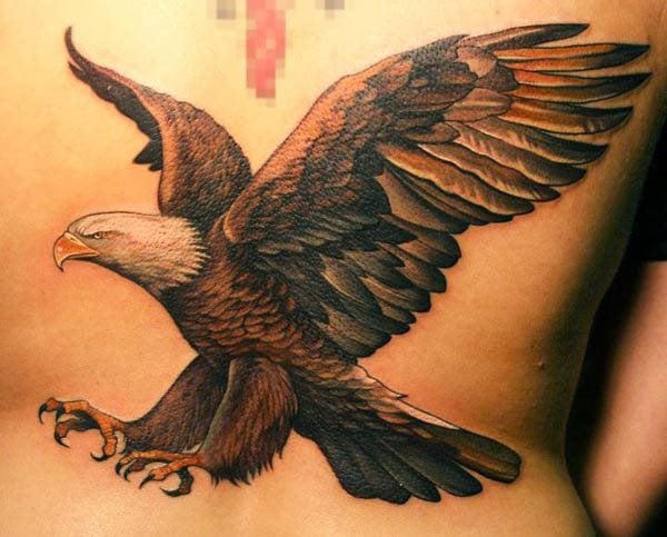 tatuaggio aquila 14