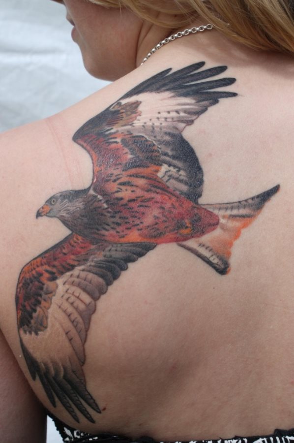 tatuaggio aquila 26