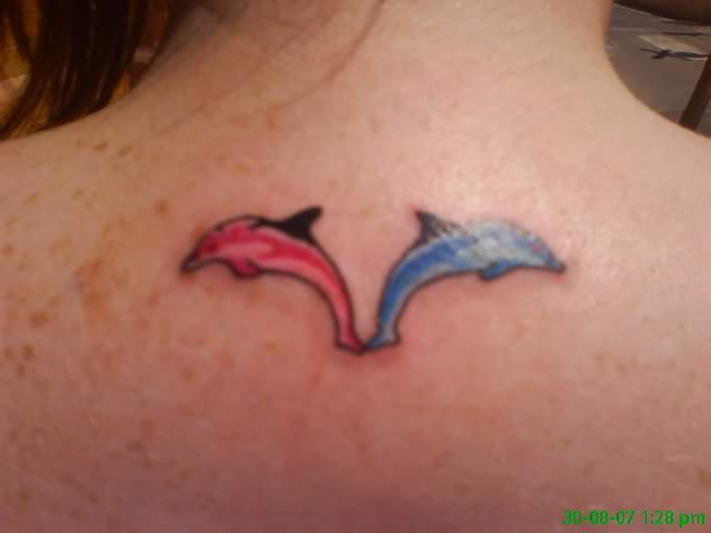 tatuaggio delfino 15