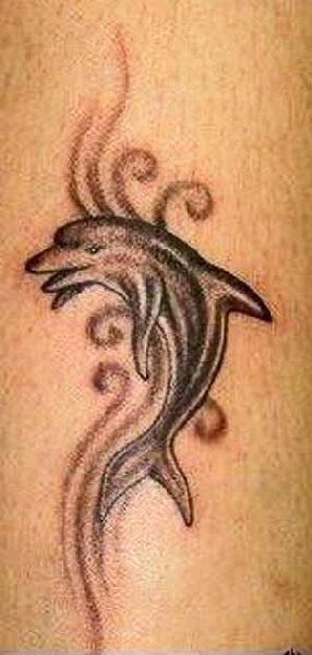 tatuaggio delfino 61
