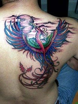 tatuaggio fenice 35