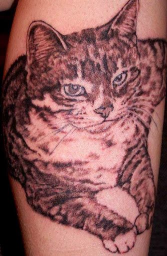 tatuaggio gatto 15