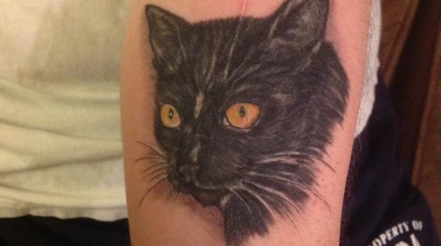 tatuaggio gatto 20