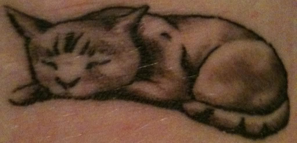 tatuaggio gatto 22