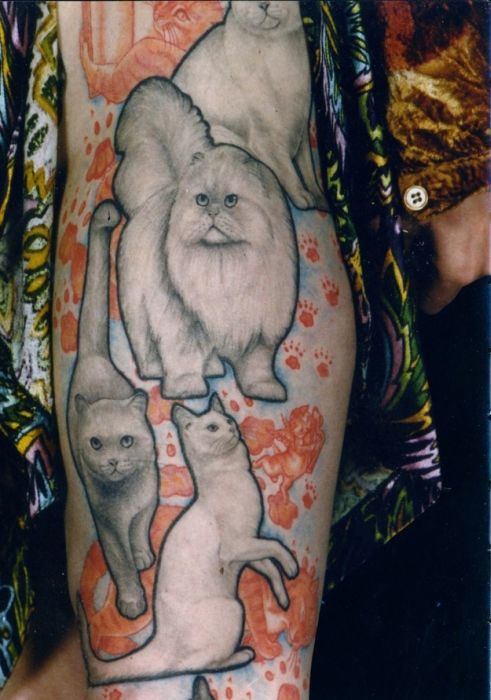 tatuaggio gatto 48