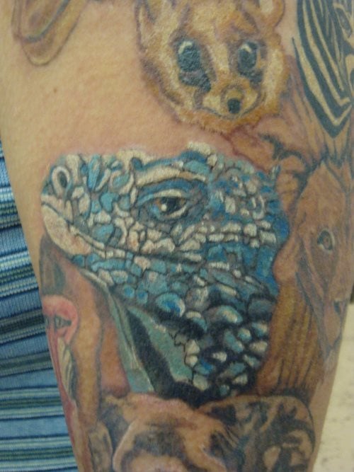 tatuaggio iguana 12