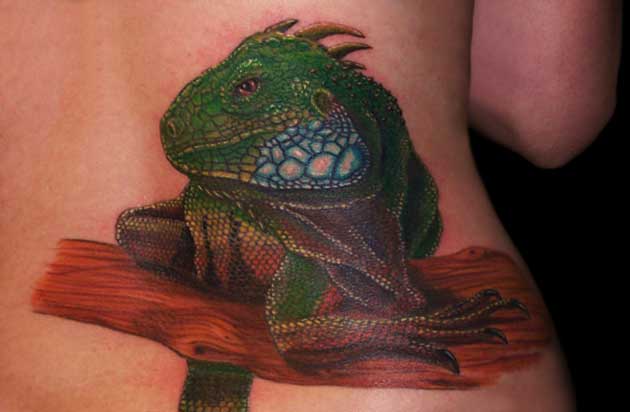 tatuaggio iguana 14
