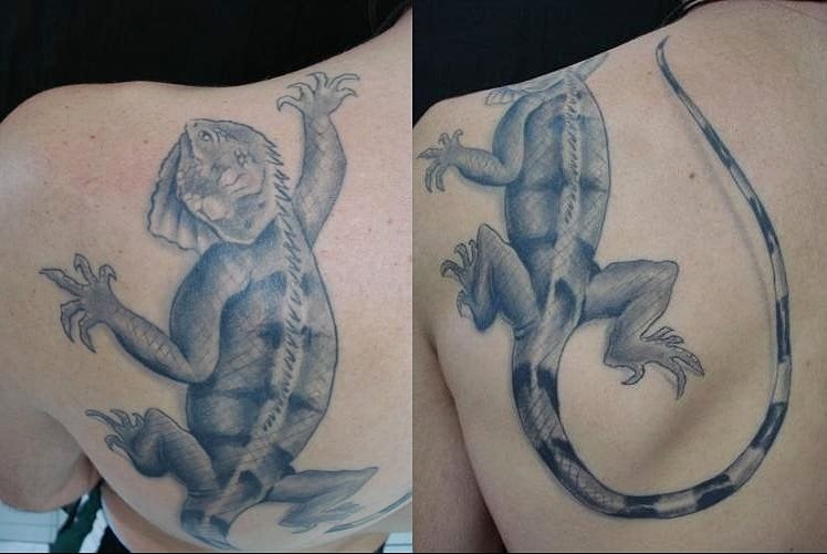 tatuaggio iguana 26