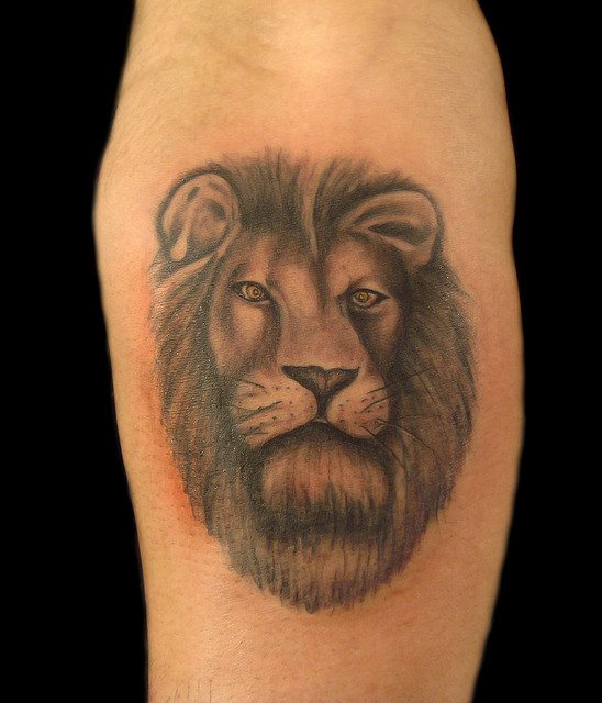 tatuaggio leone 08