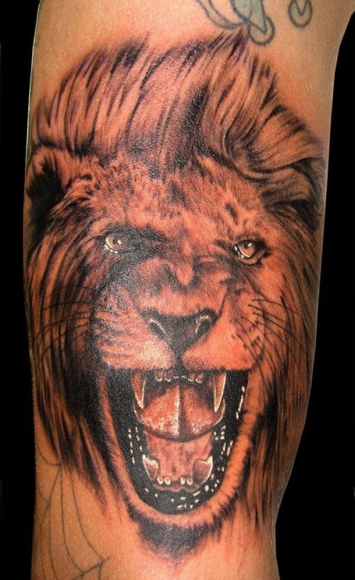 tatuaggio leone 43