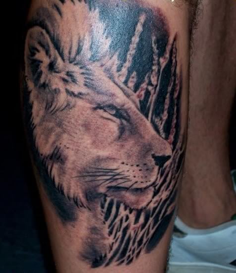 tatuaggio leone 46